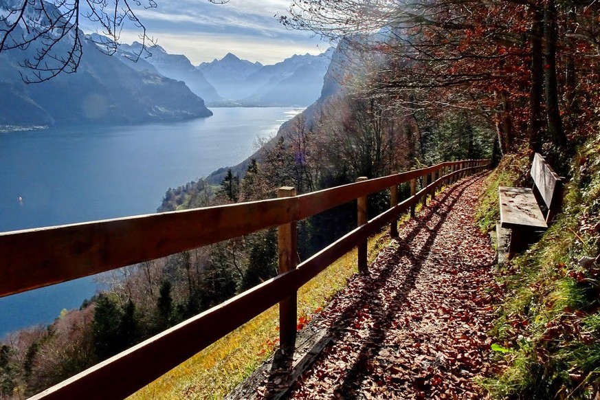 Rauszeit Schönste Aussichtsbänkli der Schweiz Aussichtssitzbank Sitzbank La vie en jaune Seelisberg