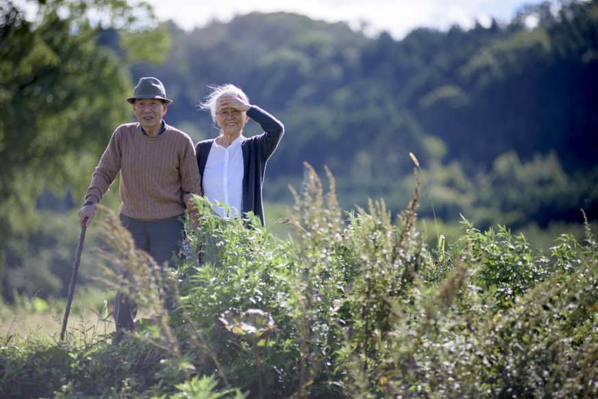 Husband and wife, elderly man wearing hat and using walking stick and elderly woman walking along path. Husband and wife, elderly man wearing hat and using walking stick and elderly woman walking alon ...