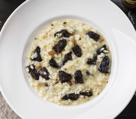 Risotto with morels on plate and Dried morels on dark marble table background Copyright: xcxLisovskayaxNataliax LN180717-16