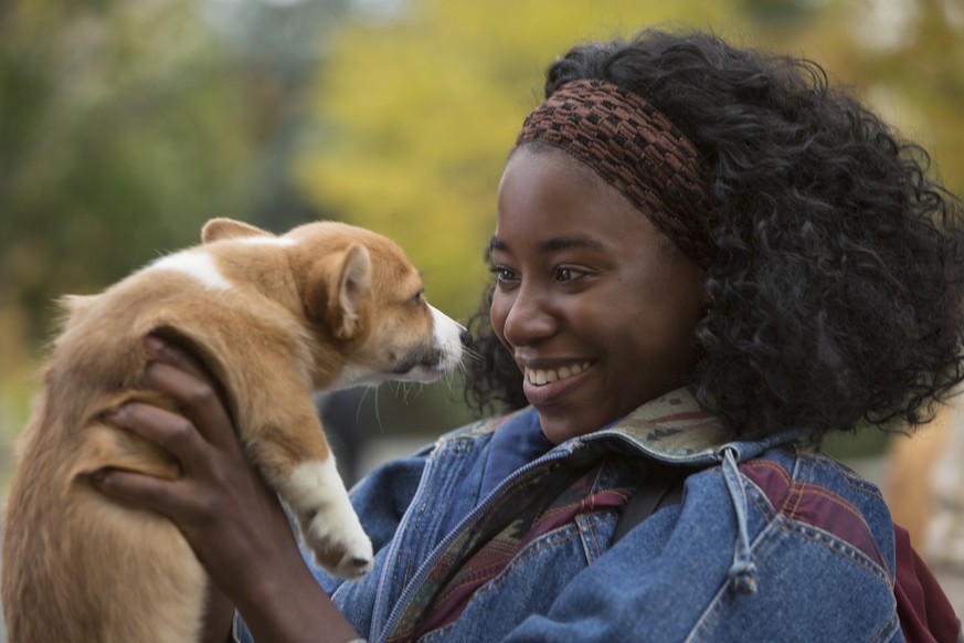 This image released by Universal Studios shows Kirby Howell-Baptiste in a scene from &quot;A Dog&#039;s Purpose.&quot; (Joe Lederer/Universal Studios via AP)