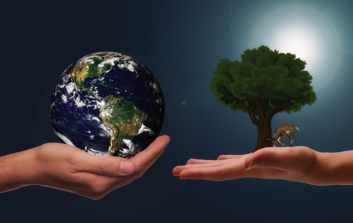 In einem Wald sollten nur so viele Bäume abgeholzt werden, wie im gleichen Wald in absehbarer Zeit nachwachsen können – das ist der Inbegriff von Nachhaltigkeit.