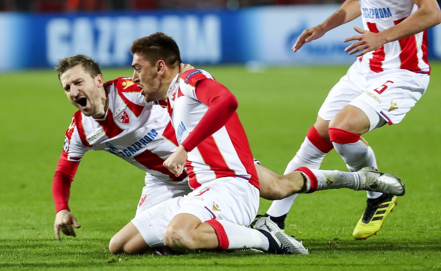 epa07146178 Red Stars Milan Pavkov (C) celebrates with teammates after scoring opening goal during the UEFA Champions League Group C soccer match between Red Star Belgrade and Liverpool FC in Belgrade ...