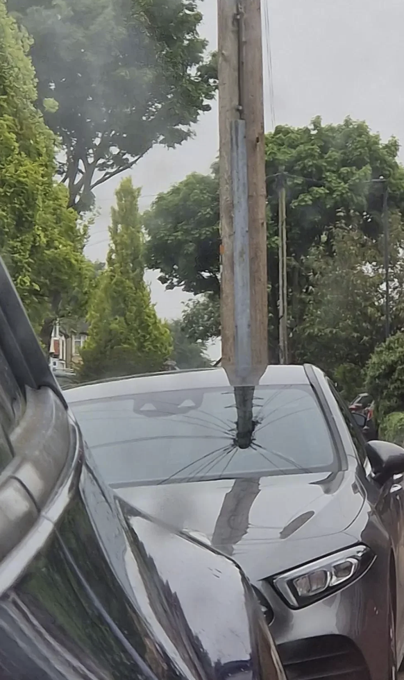 Optische Täuschungen: Bilder, die du zwei Mal anschauen musst, um sie zu verstehen