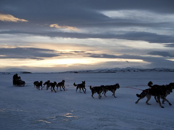 Viele Rennen mit Schlittenhunden mussten in Alaska bereits abgesagt werden, weil das Wetter derzeit viel zu warm ist. (Symbolbild)