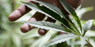 Cannabis-Versuche in der Schweiz: Das musst du als Kiffer jetzt wissen