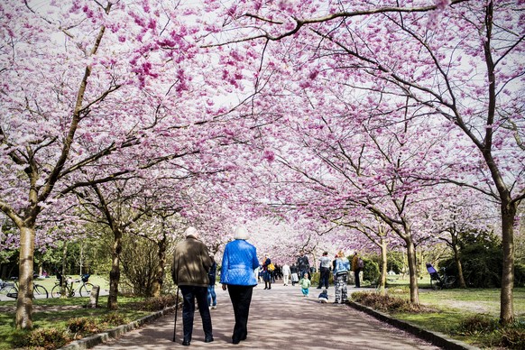 Ein Park in Kopenhagen: In Dänemark ist die Lebensqualität hoch.&nbsp;