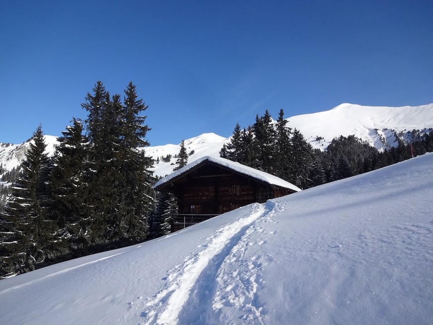 Schneeschuhtrail Bühlberg Lenk Rauszeit