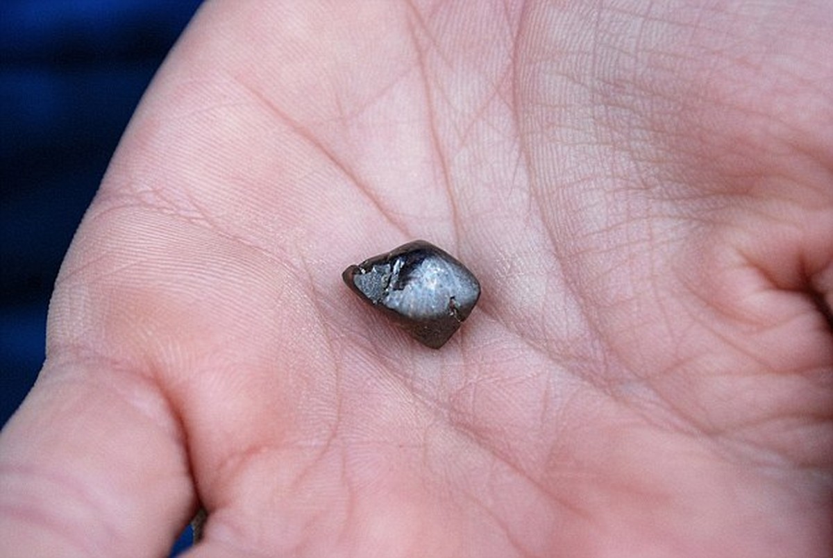Der erbsengrosse Diamant könnte ein Vermögen wert sein.