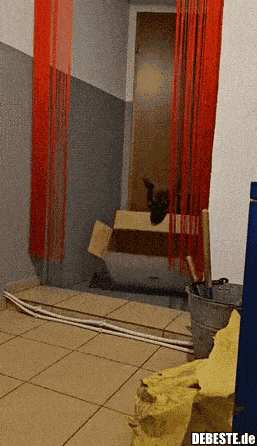 Animiertes GIF