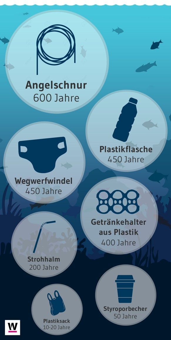 Plastikmüll im Meer: So lange brauchen verschiedene Kunststoffprodukte, um sich zu zersetzen
Quelle: https://www.gopetition.com/petitions/plastic-straws.html