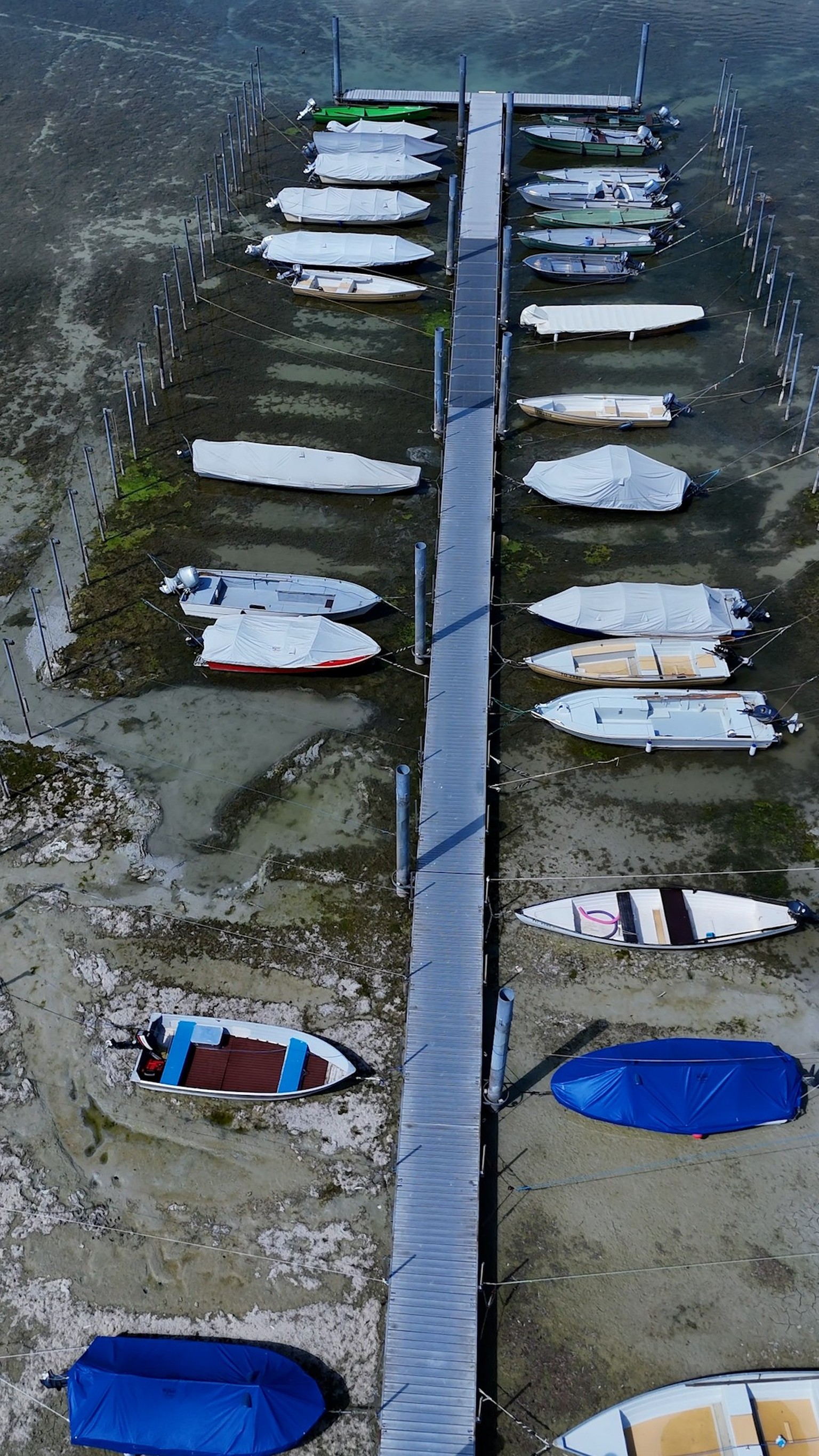 Untersee bei Ermatingen TG