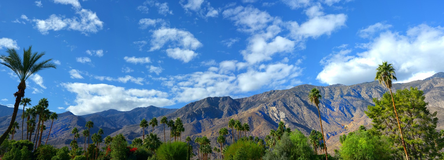 Palm Springs Landschaft Wüste Kalifornien Joshua Tree
