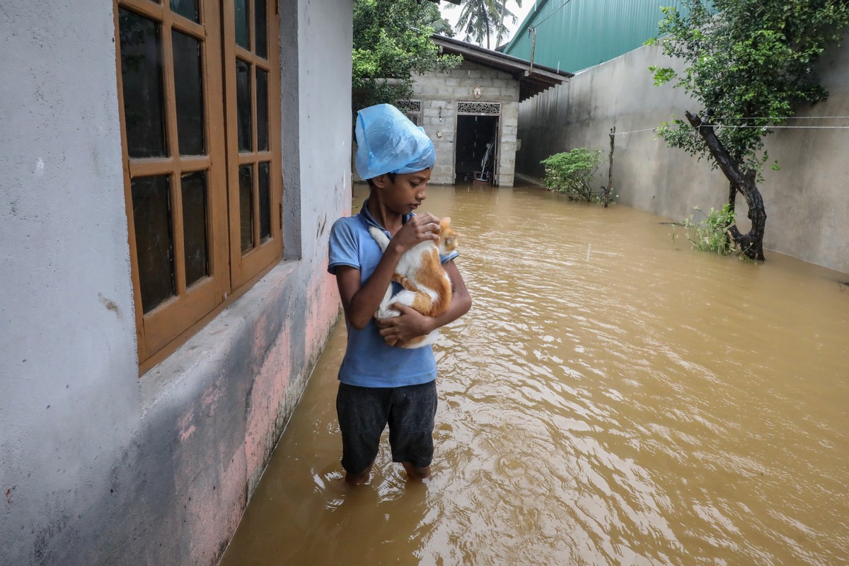 epa12554826 A boy cuddles a cat rescued from the flood waters during heavy rainfall in the suburb of Colombo, Sri Lanka, 28 November 2025. Many parts of the island have been inundated due to heavy rai ...