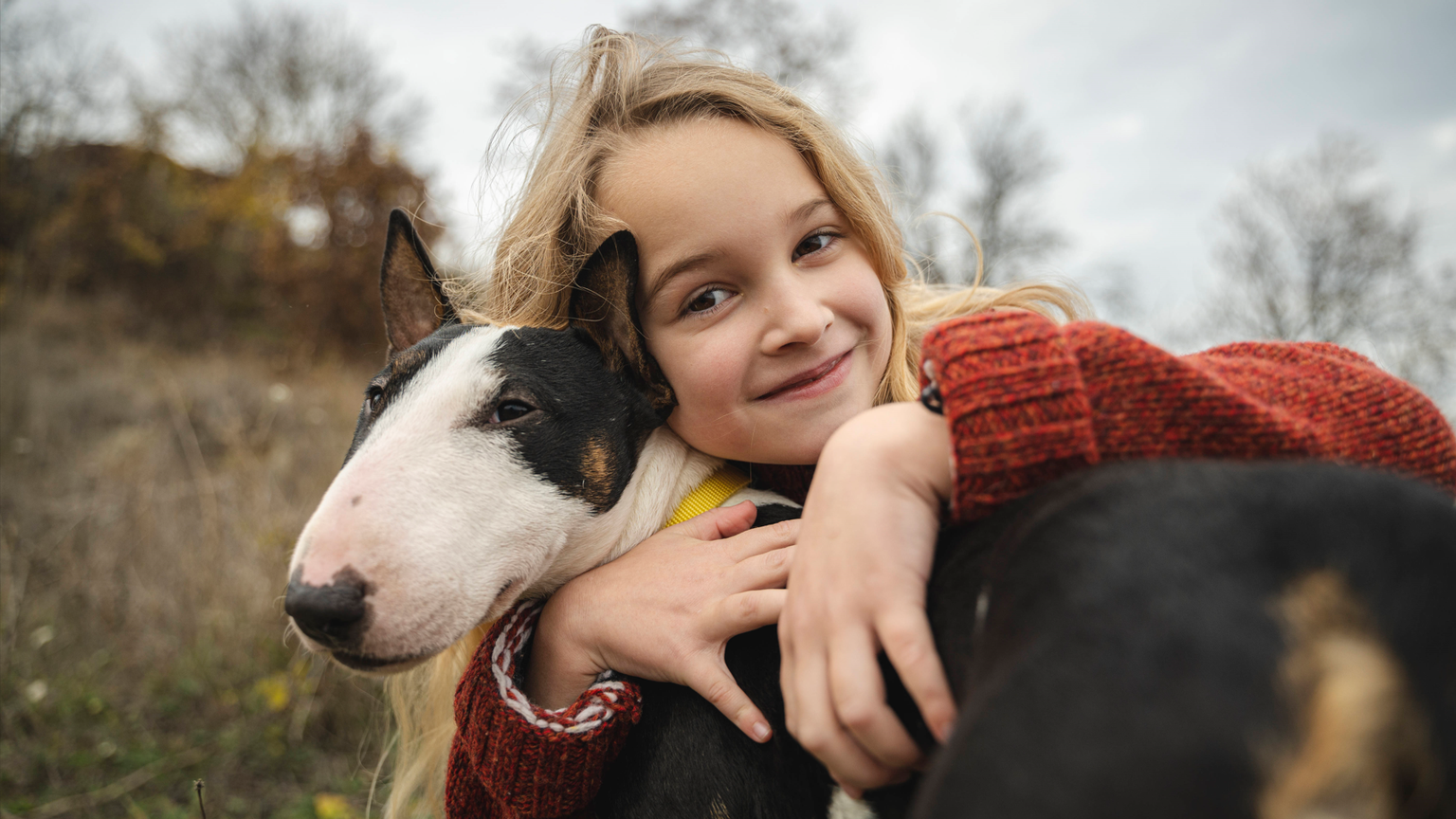 Smiling cute girl embracing dog model released, Symbolfoto property released, ALKF00095

Miniature Bullterrier
