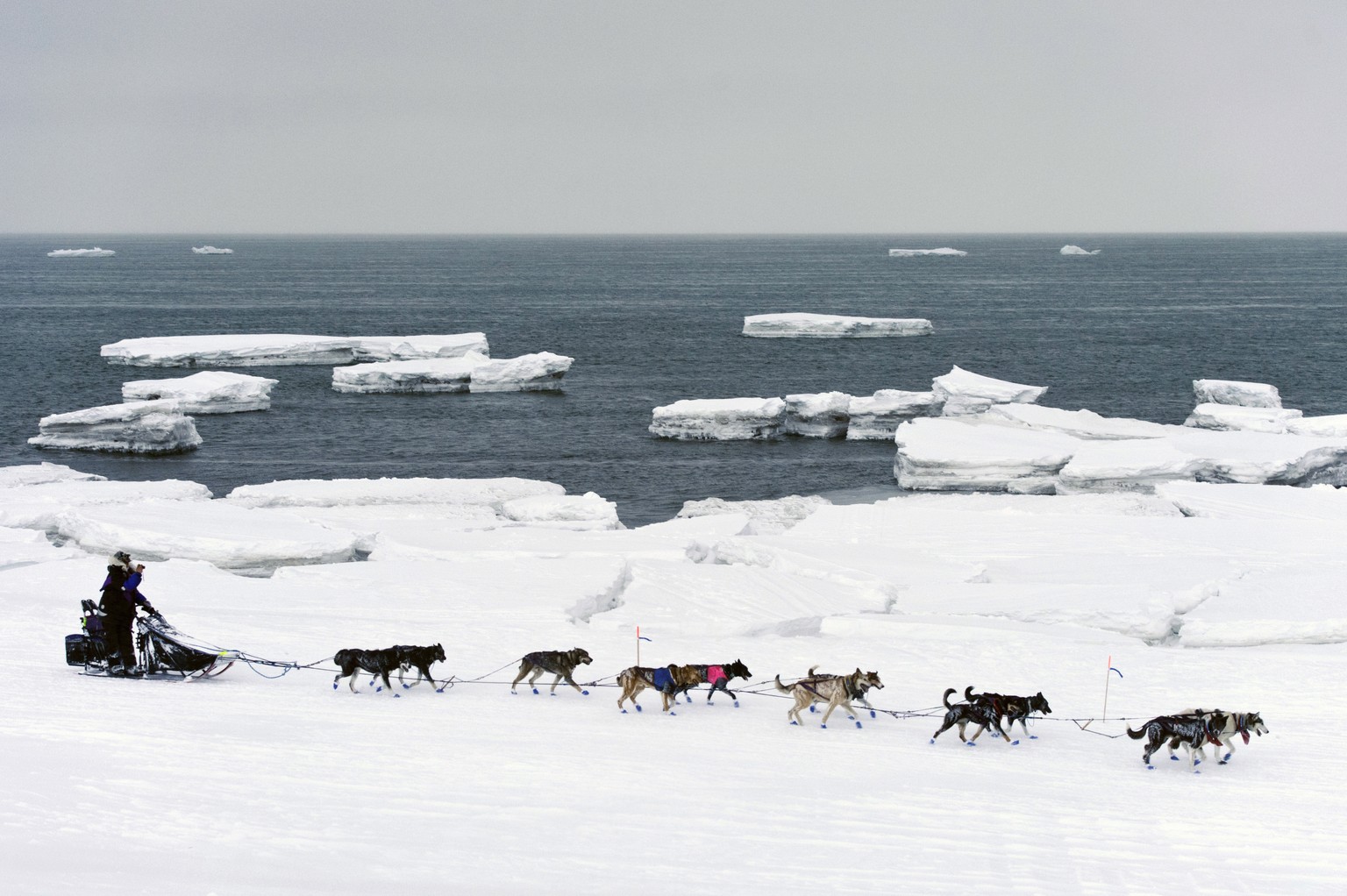 FILE - In this March 13, 2019, file photo, Jessie Royer passes icebergs in open water on Norton Sound as she approaches Nome, Alaska, in the Iditarod trail sled dog race. When a Feb. 22 storm pounded  ...
