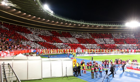 Das Stadion in Wien.