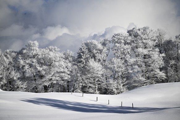 Frisch verschneite Landschaft, aufgenommen am Sonntag, 11. Dezember 2022, in St. Margrethenberg. Die vergangenen Tage brachten der Schweiz Schnee bis ins Flachland, die kommende Woche soll sehr kalt b ...