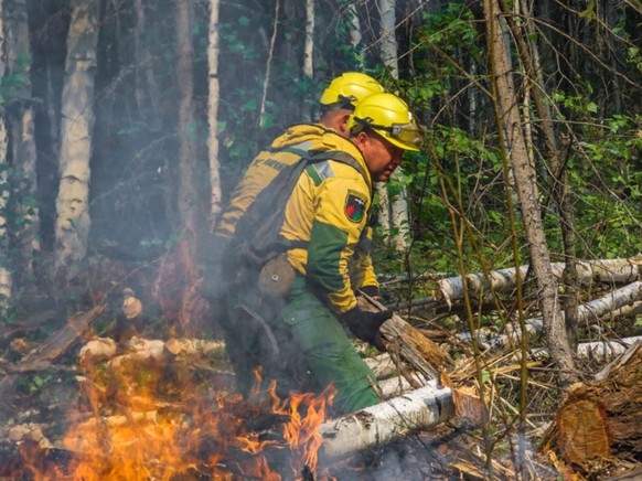 Die Feuer haben laut der Forstverwaltung mittlerweile eine Fläche von mehr als drei Millionen Hektar zerstört.
