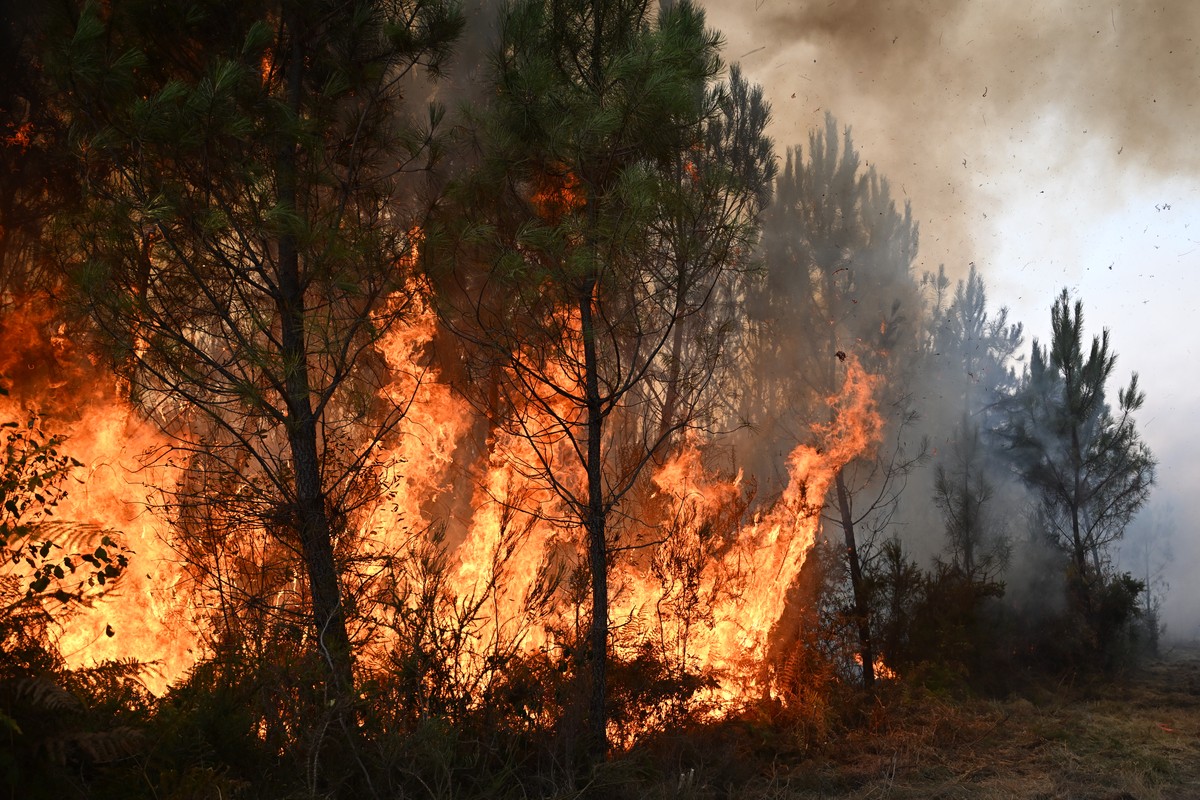 A fire burns in the forest near Blagon, during wildfires in southwestern France, Wednesday, July 29, 2026. (AP Photo/Emma Da Silva)
France Wildfires