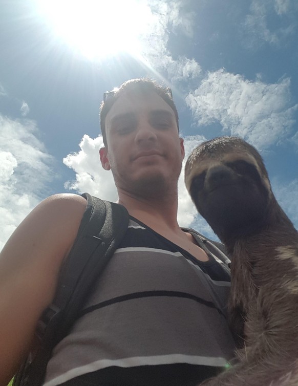Mann trifft Faultier am Amazonas