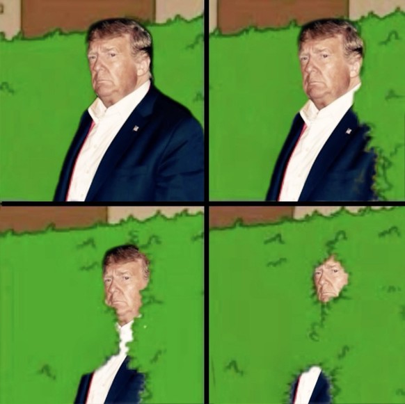 Trump Meme