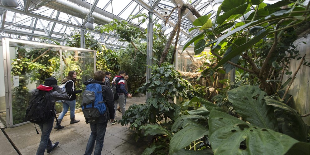 Im Rahmen einer grossen Neuausrichtung soll der beliebte Streichelzoo im Tierpark Bern verschwinden. Das wird heute mit der Präsentation der Gesamtplanung 2023-2033 bekannt. Der Tierpark möchte sich a ...