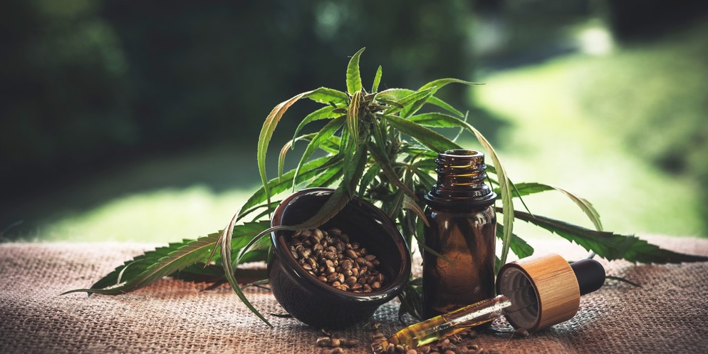 Die Lebensqualität der Bewohnerinnen und Bewohner des Alterszentrums Ins steigerte sich dank Cannabis-Öl nachweislich.