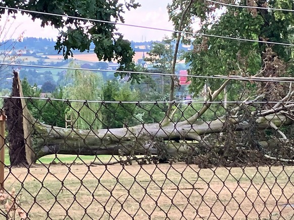 Gewitter Schweiz: Ein umgestürzter Baum im Seebad Sempach.