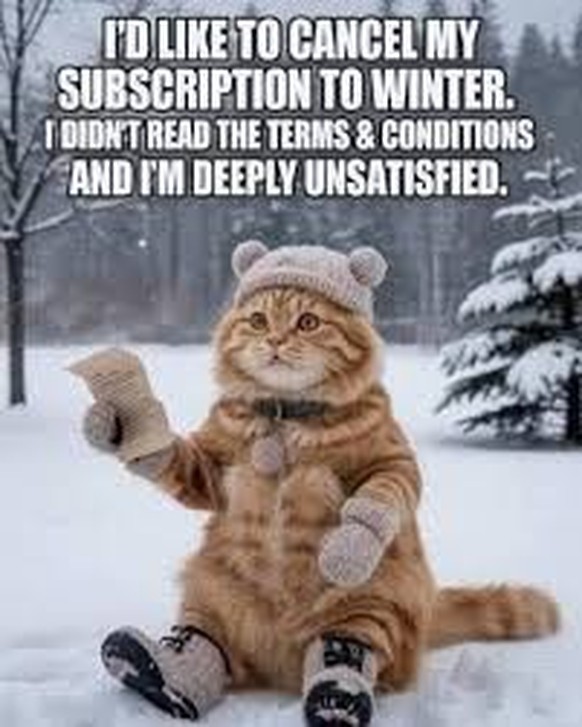 Überraschungs-Winter im Frühling. Die Memes.