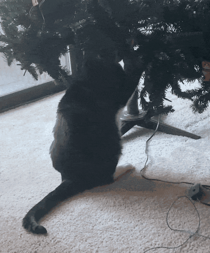 Animiertes GIF