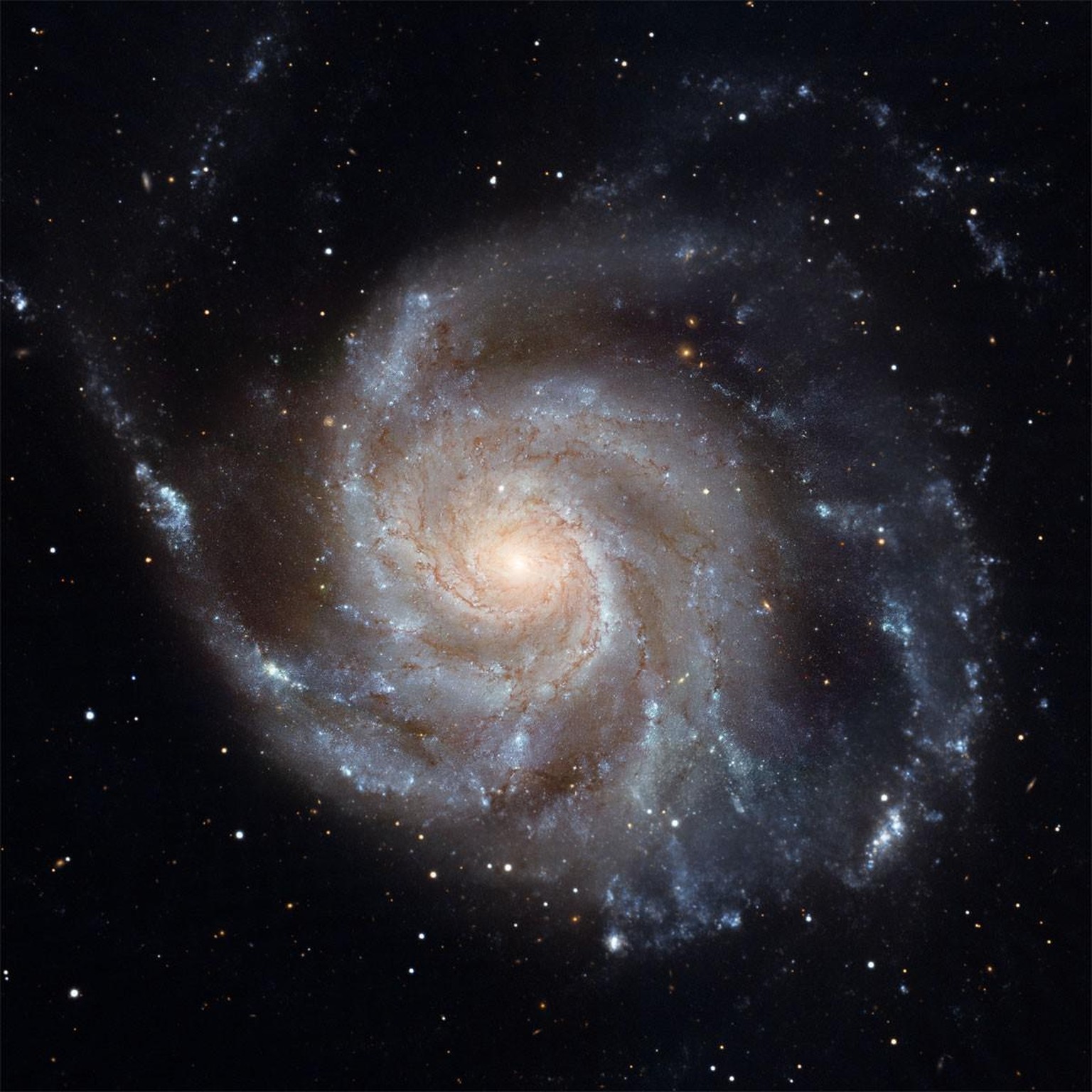 Galaxie Messier 101 (NGC 5457, Pinwheel-Galaxie oder Feuerrad-Galaxie), Aufnahme des Hubble-Weltraumteleskops
https://esahubble.org/images/opo0907h/