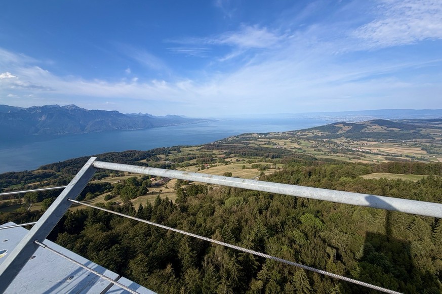 Mont Pèlerin Vevey Lavaux Weinterrassen Epesse Dézaley