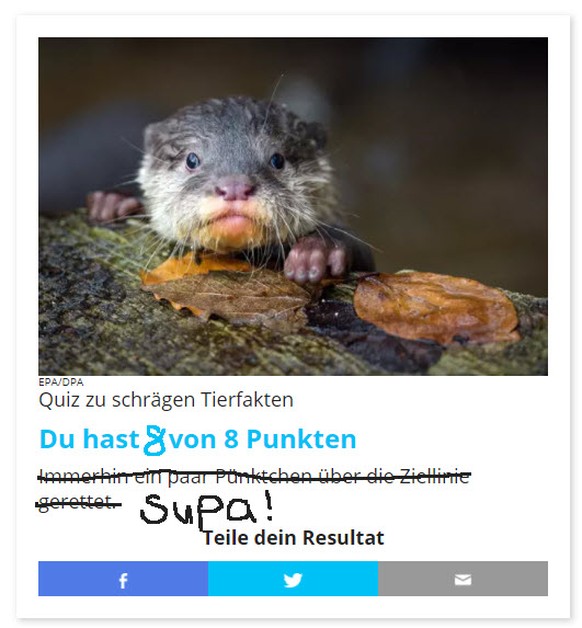 Jeden Tag, wenn du aus dem Zug aussteigen willst. Zeit für lustige Tierbilder 
Yeeeeeeh, volle Punktzahl!