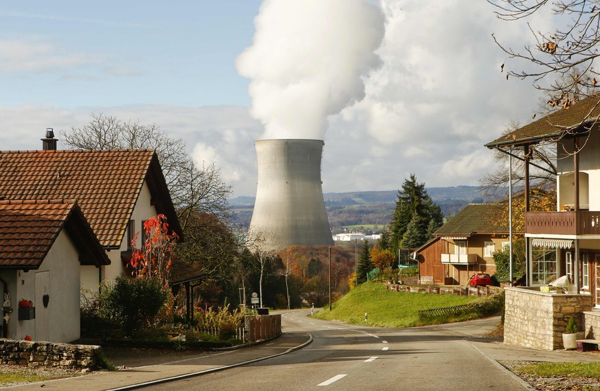 Blick auf das Atomkraftwerk: Die Gemeinde Leibstadt fürchtet Einbussen bei der Standortattraktivität.