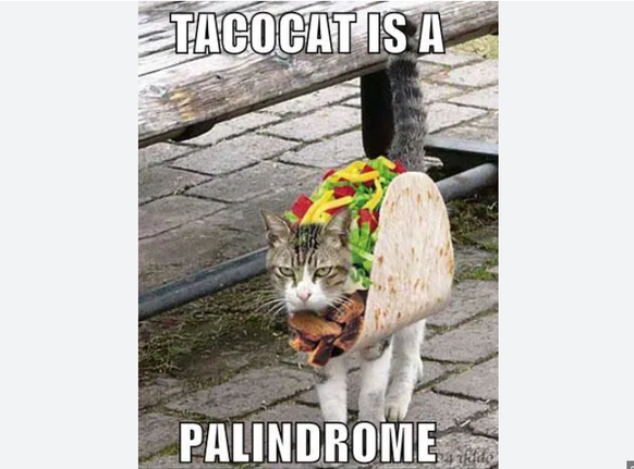Palindrom: Taco Cat