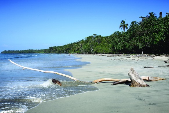 Üppiges Grün zum Strand im Cahuita-Nationalpark.