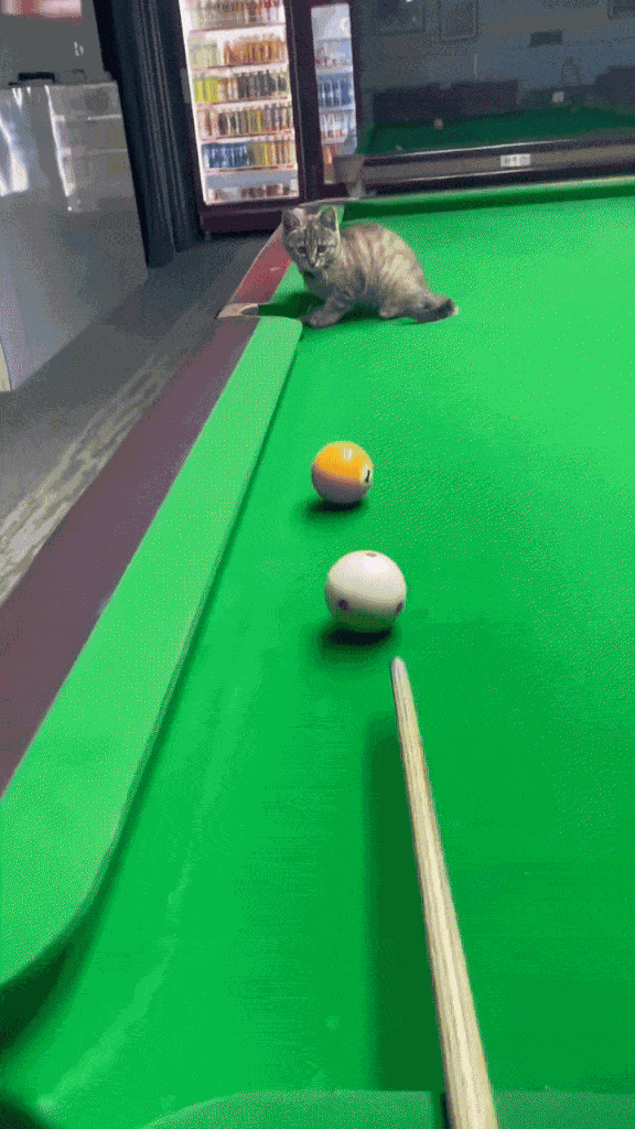 Animiertes GIF