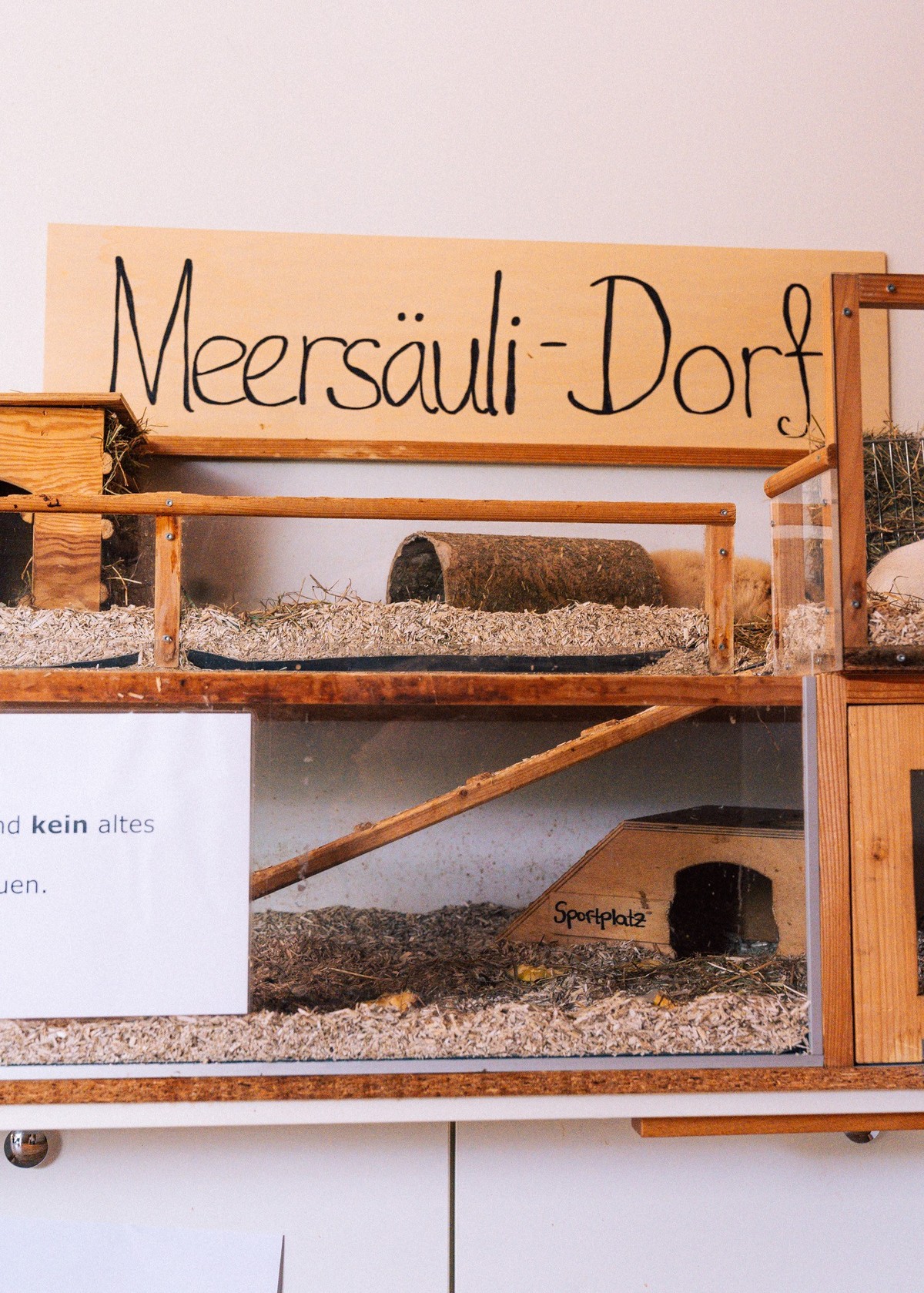 Fotostory im Altersheim und Pflegeheim Riedhof am 3. Mai 2023