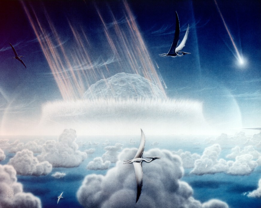 Einschlag des Chicxulub-Meteoriten
https://upload.wikimedia.org/wikipedia/commons/8/8c/Chicxulub_impact_-_artist_impression.jpg