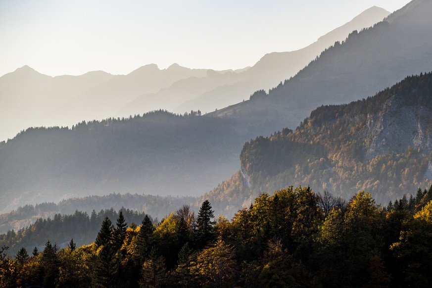 Herbstlich gefaerbte Laubbaeume im Haslital oberhalb von Meiringen, am Donnerstag, 12. Oktober 2017. (KEYSTONE/Christian Merz)