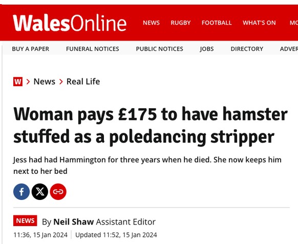 Lokalschlagzeilen zum Brüllen https://www.walesonline.co.uk/news/real-life/woman-pays-175-hamster-stuffed-28447682