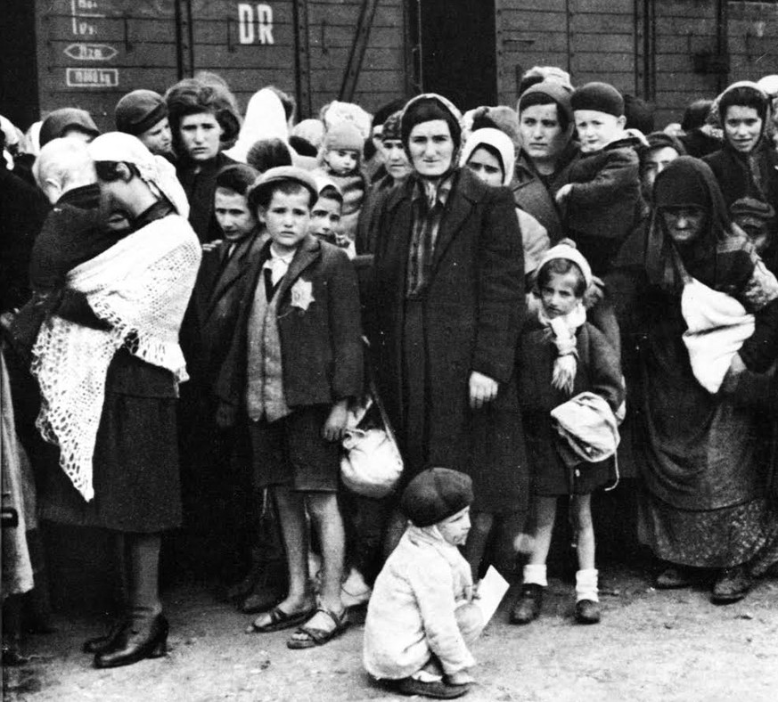 «Wie soll ich verzeihen, dass meine Mutter unter solchen Qualen gestorben ist?» Schweizer Holocaust-Überlebender erinnert sich