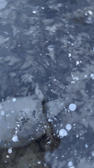 Animiertes GIF
