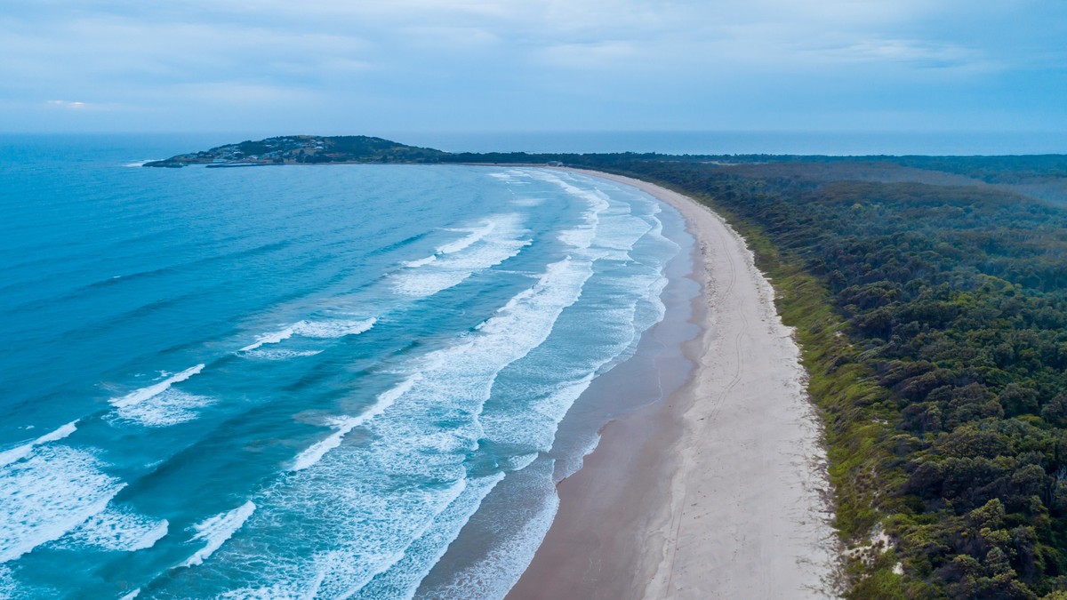 Deux touristes suisses ont été attaqués par un requin sur une plage de Crowdy Bay, une région isolée à environ 250 kilomètres au nord de Sydney (image d'archives).