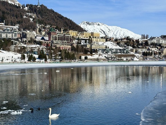 White Turf St. Moritz