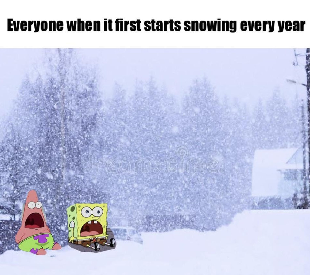 Schnee Memes
