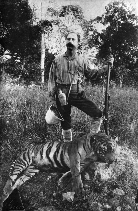 Nach einer Tigerjagd, um 1886 auf Java oder Sumatra.