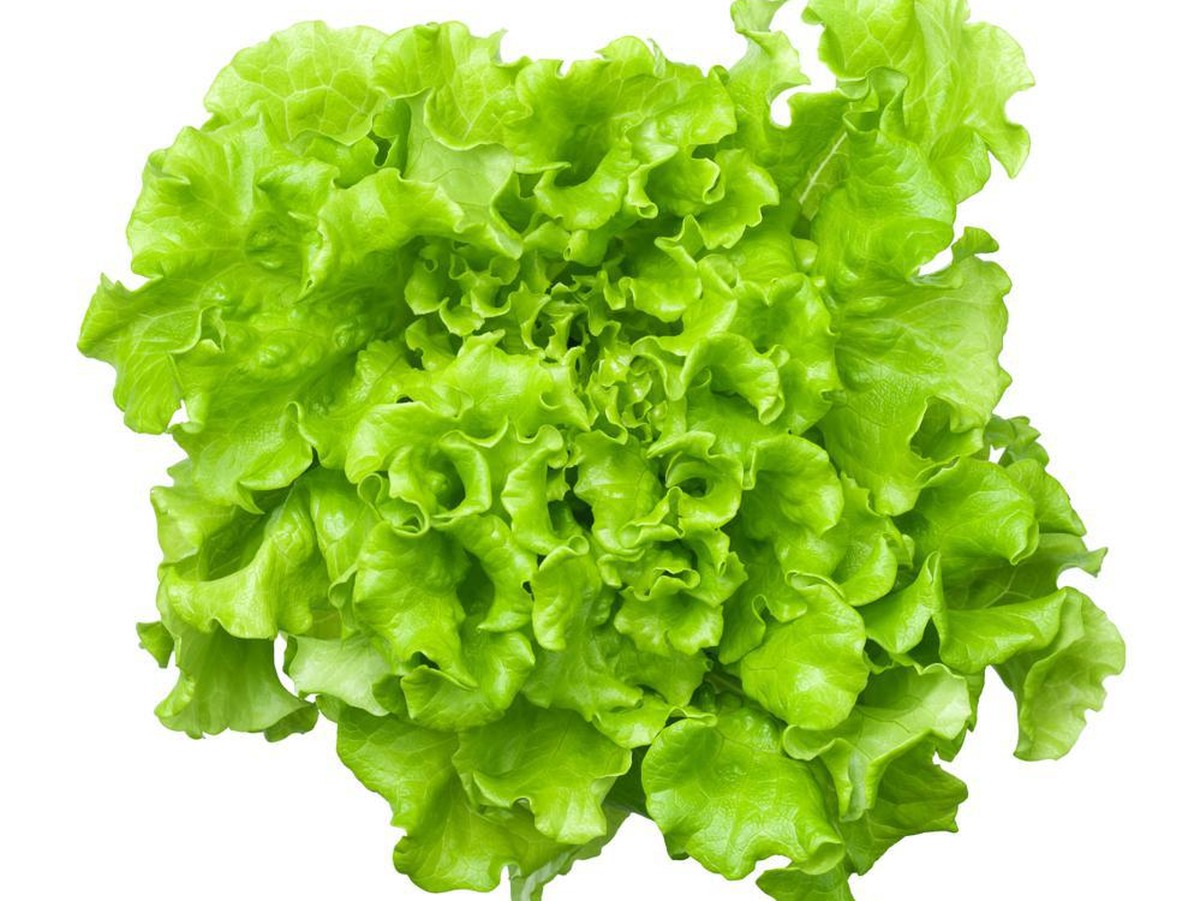 Batavia Salat