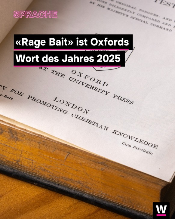 &lt;p&gt;Rage Bait ist Oxfords Wort des Jahres 2025.&lt;/p&gt;