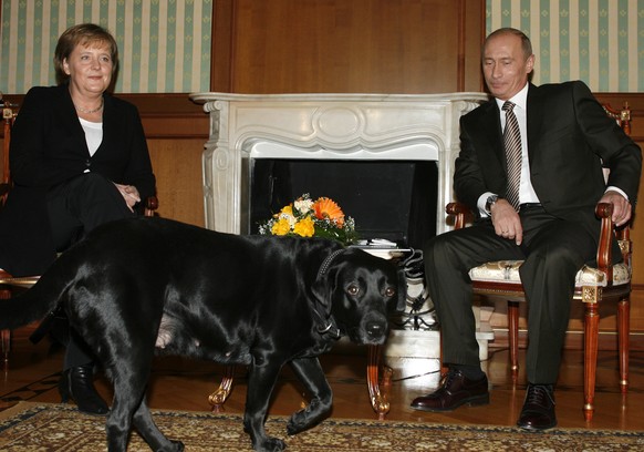 FILE - German Chancellor Angela Merkel and Russian President Vladimir Putin, look on as Putin&#039;s dog Cony walks past, during the meeting in Putin&#039;s residence in the Russian Black Sea resort o ...